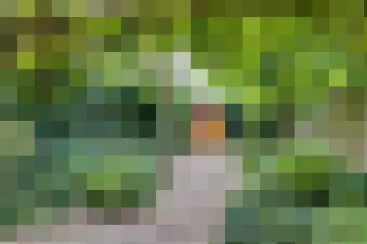 Gerstdreef 96 Doetinchem thumbnail 16