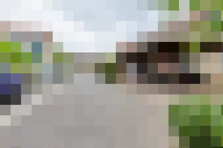 Gerstdreef 96 Doetinchem thumbnail 18