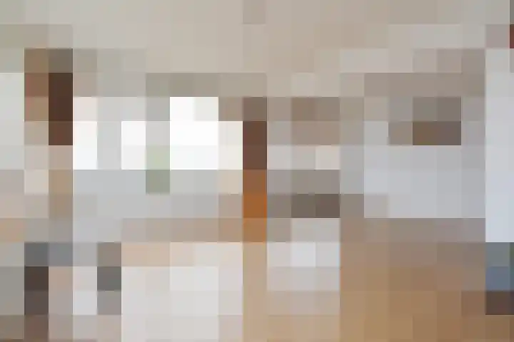 Gerstkamp 236 Den Haag thumbnail 11