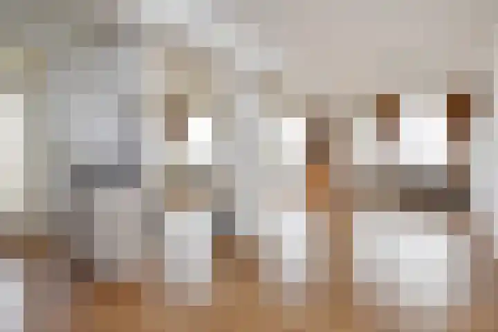 Gerstkamp 236 Den Haag foto 2