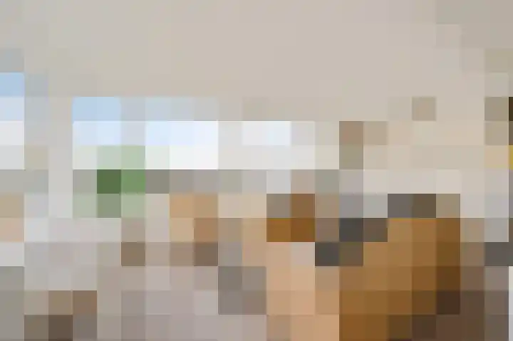 Gerstkamp 272 Den Haag thumbnail 12