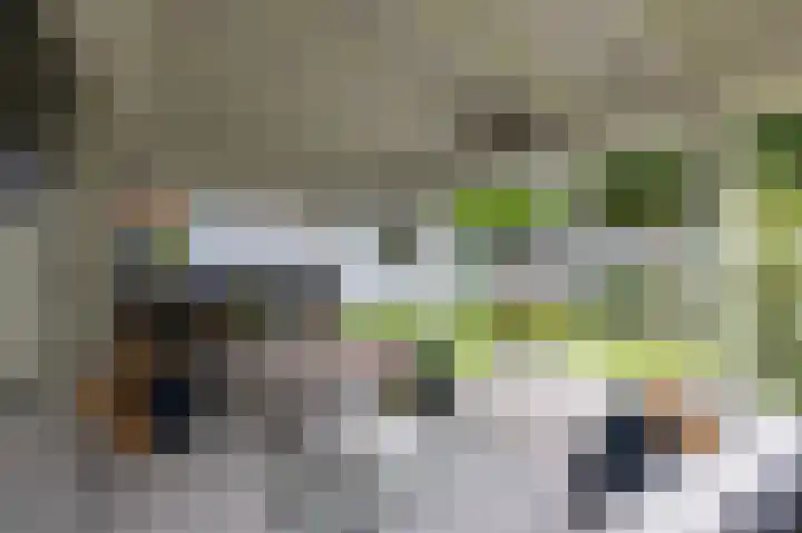 Gerstkamp 272 Den Haag thumbnail 19