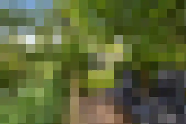 Gerstkamp 31 Den Haag thumbnail 17