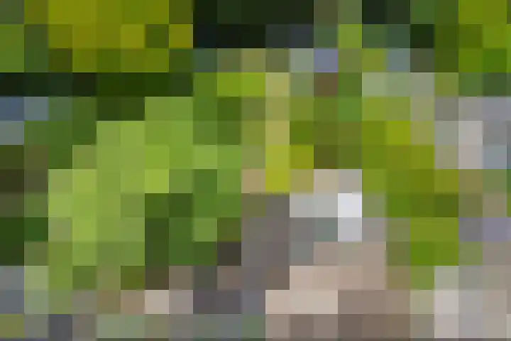 Gerstkamp 31 Den Haag thumbnail 33
