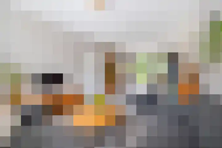 Gerstkamp 31 Den Haag thumbnail 7