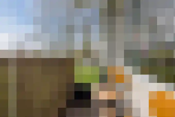 Gerstkamp 62 Den Haag thumbnail 19
