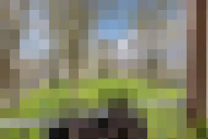 Gerstkamp 62 Den Haag thumbnail 4