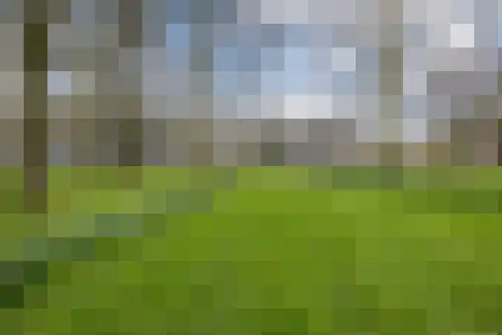 Gerstkamp 62 Den Haag thumbnail 46