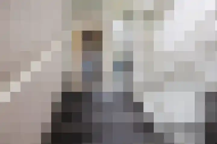 Gerstkamp 62 Den Haag thumbnail 7