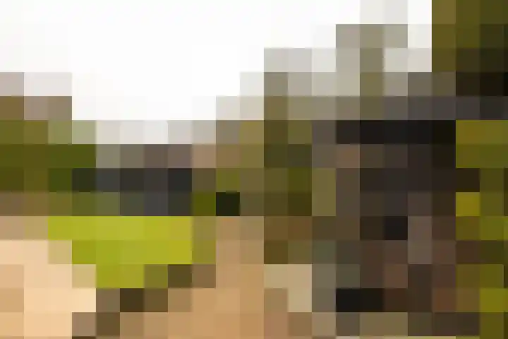 Gerstweg 25 Elspeet thumbnail 11