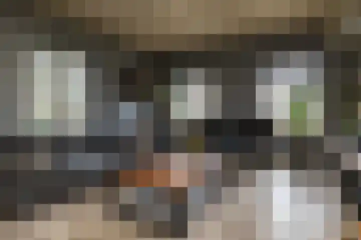 Gerstweg 25 Elspeet thumbnail 15