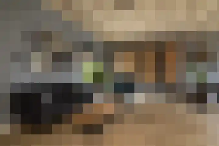 Gerstweg 25 Elspeet thumbnail 19