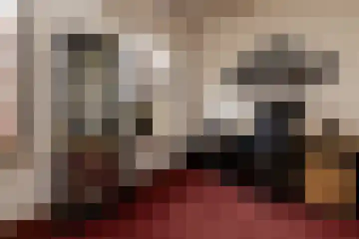 Gerstweg 25 Elspeet thumbnail 28