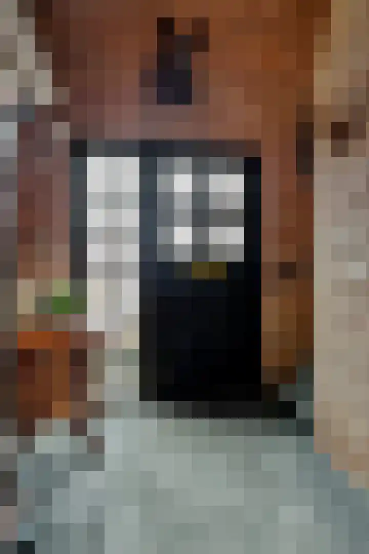 Gerstweg 25 Elspeet thumbnail 31