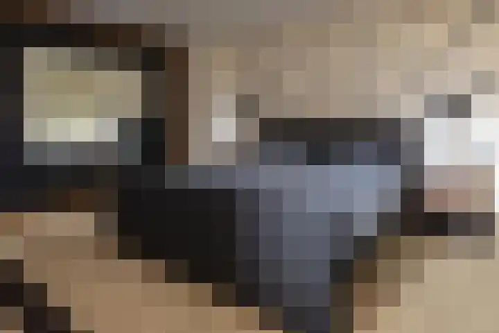 Gerstweg 25 Elspeet thumbnail 34