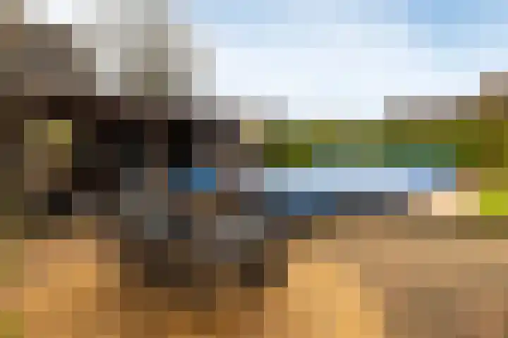 Gerstweg 25 Elspeet thumbnail 6