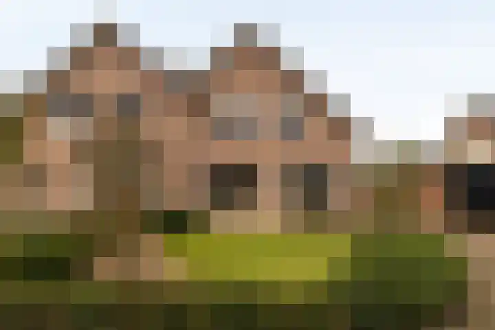Gerstweg 49 Elspeet thumbnail 41