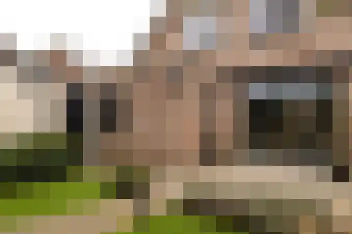 Gerstweg 49 Elspeet thumbnail 7