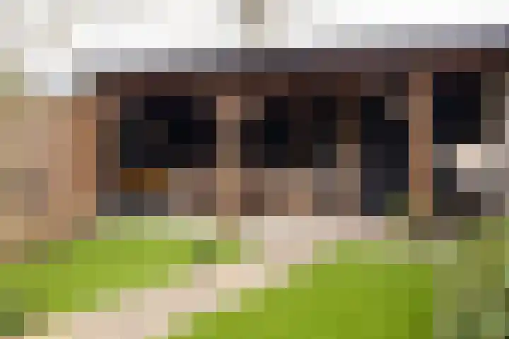 Gerstweg 49 Elspeet thumbnail 9