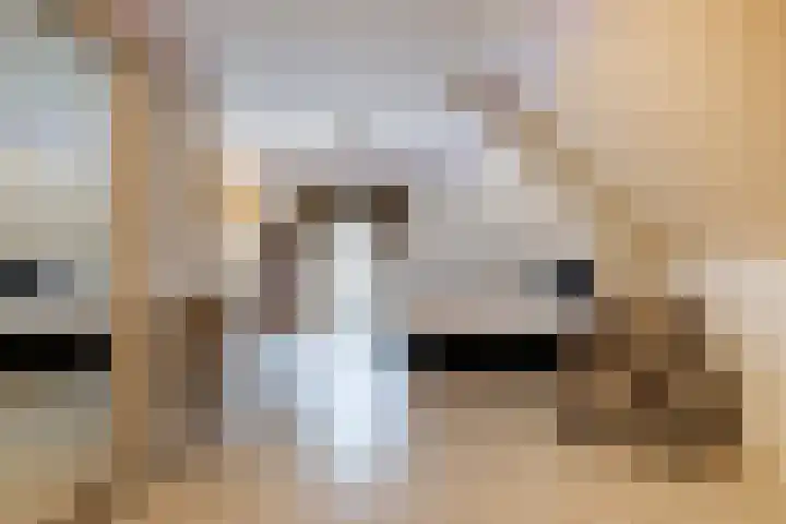 Gerverscop 7 Harmelen thumbnail 13
