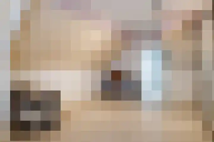 Gerverscop 7 Harmelen thumbnail 14