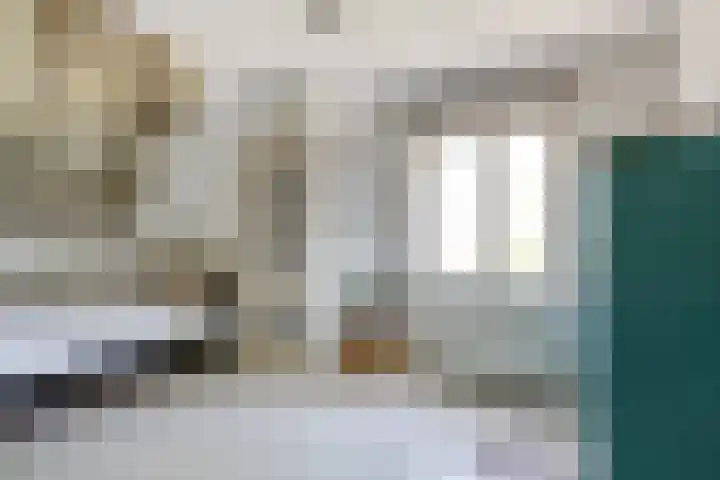 Gerverscop 7 Harmelen thumbnail 16