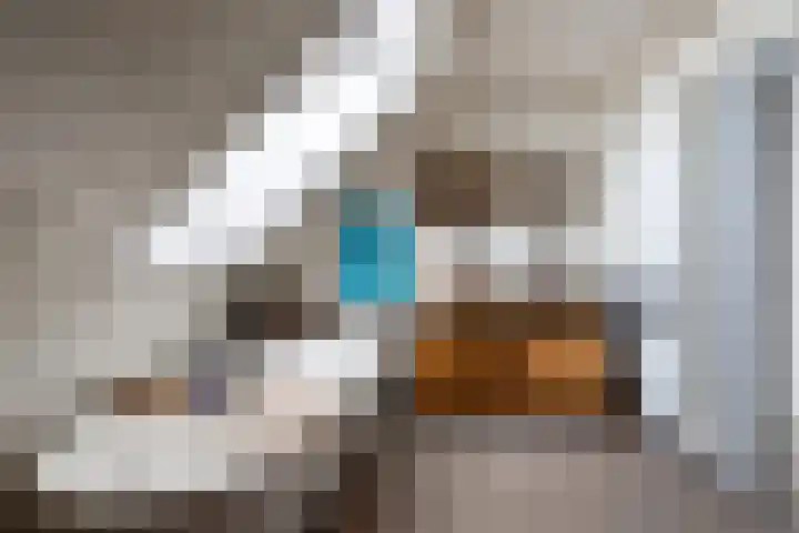 Gerverscop 7 Harmelen thumbnail 17