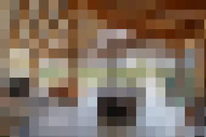 Gerverscop 7 Harmelen thumbnail 23