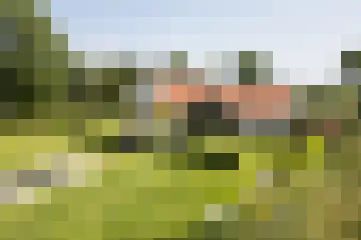 Gerverscop 7 Harmelen thumbnail 28