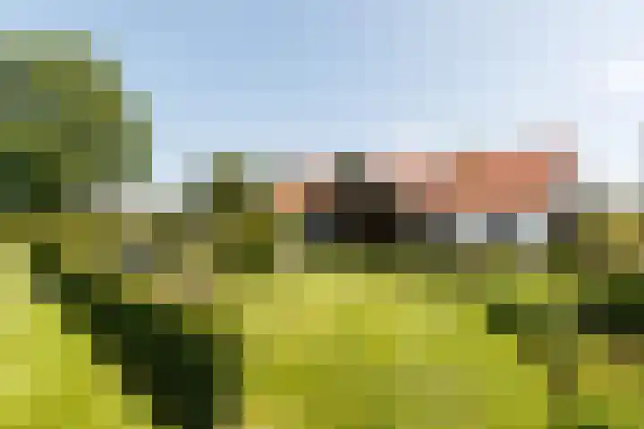 Gerverscop 7 Harmelen thumbnail 29
