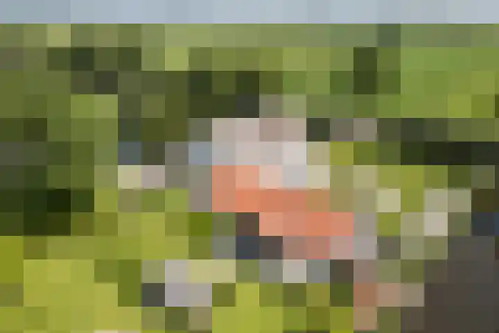 Gerverscop 7 Harmelen thumbnail 30