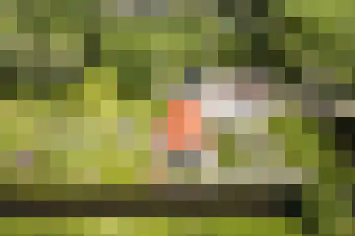 Gerverscop 7 Harmelen thumbnail 31