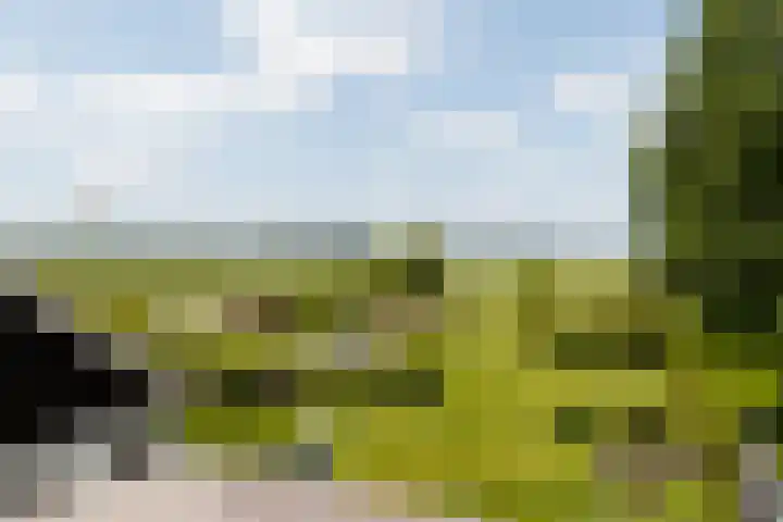 Gerverscop 7 Harmelen thumbnail 33