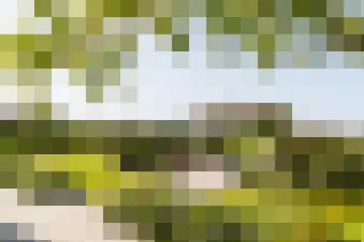 Gerverscop 7 Harmelen thumbnail 36