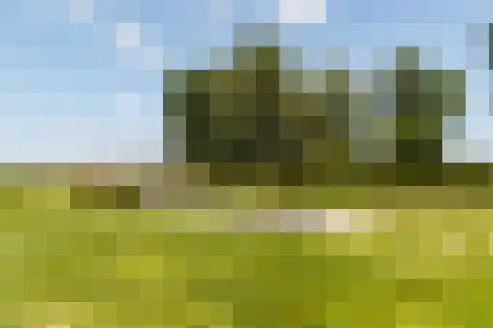Gerverscop 7 Harmelen thumbnail 38