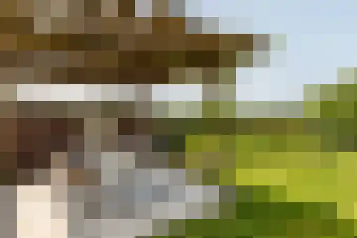 Gerverscop 7 Harmelen thumbnail 39