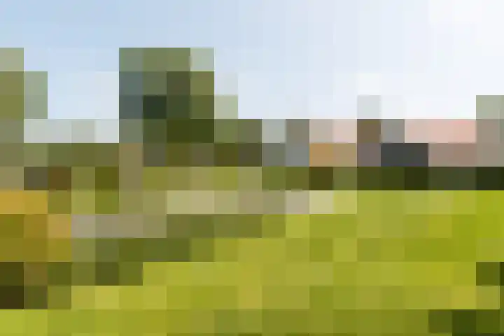 Gerverscop 7 Harmelen thumbnail 40