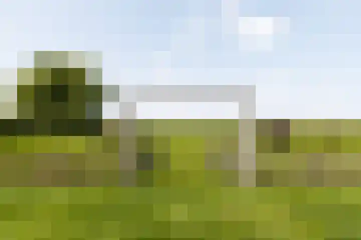Gerverscop 7 Harmelen thumbnail 41