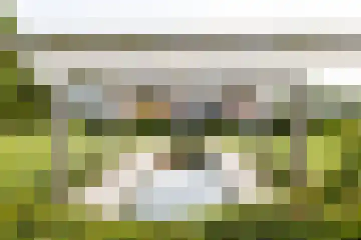 Gerverscop 7 Harmelen thumbnail 42