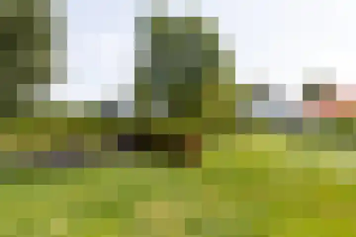 Gerverscop 7 Harmelen thumbnail 43