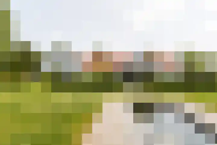 Gerverscop 7 Harmelen thumbnail 44