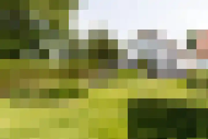 Gerverscop 7 Harmelen thumbnail 45