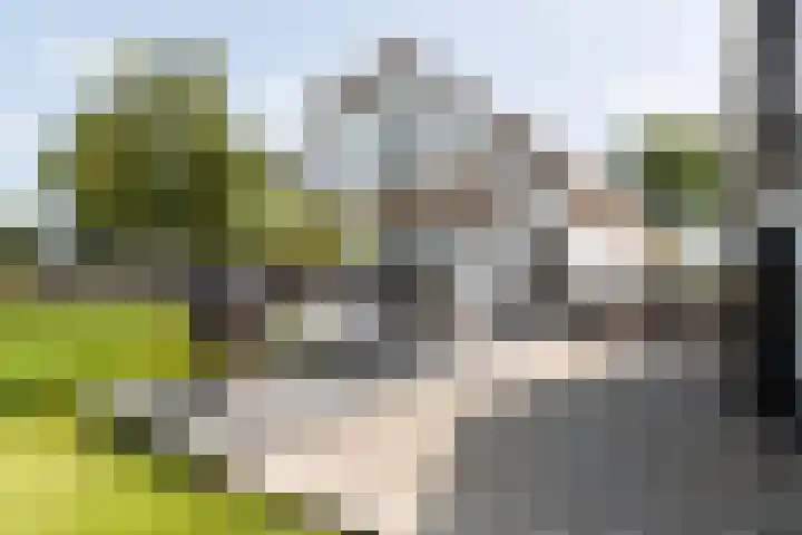 Gerverscop 7 Harmelen thumbnail 47