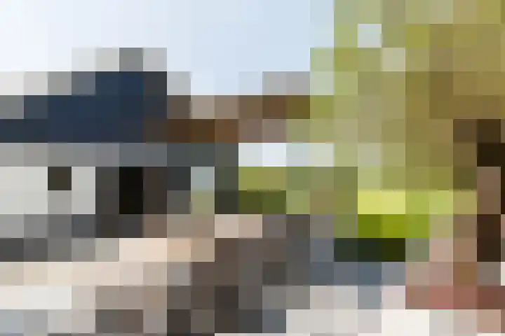 Gerverscop 7 Harmelen thumbnail 49