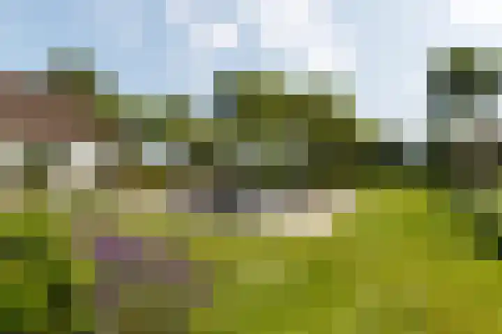 Gerverscop 7 Harmelen thumbnail 52