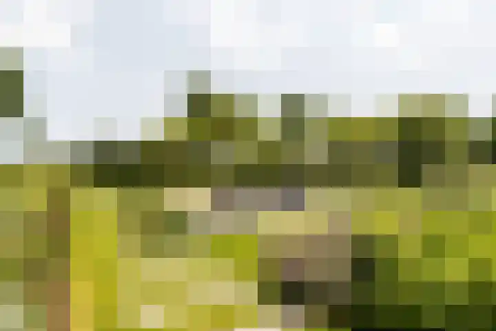 Gerverscop 7 Harmelen thumbnail 53