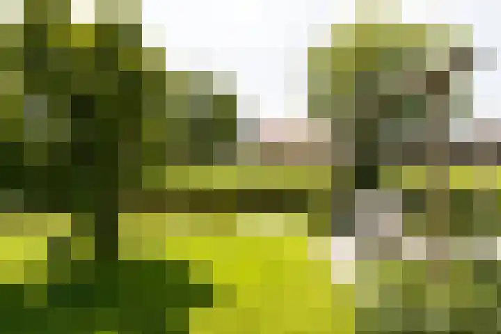 Gerverscop 7 Harmelen thumbnail 57