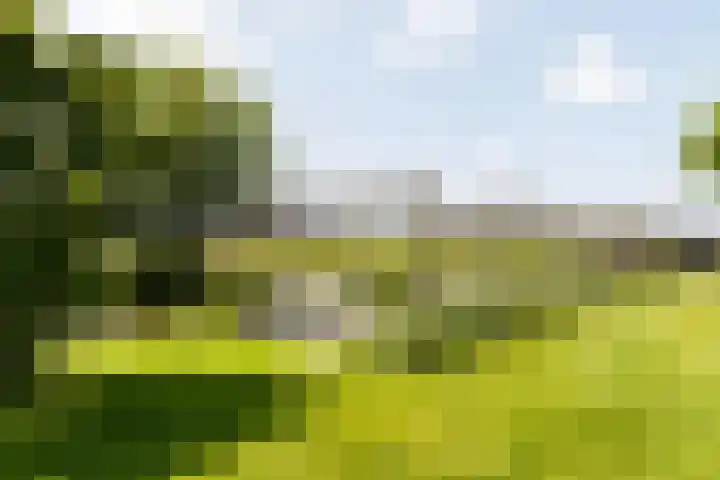 Gerverscop 7 Harmelen thumbnail 58