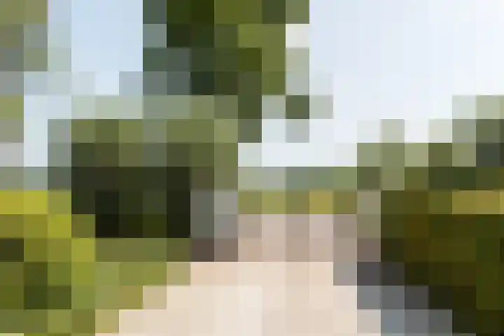 Gerverscop 7 Harmelen thumbnail 66