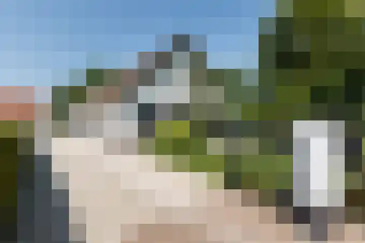 Gerverscop 7 Harmelen thumbnail 67